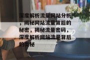深度解析流量网站分析，揭秘网站流量背后的秘密，揭秘流量密码，深度解析网站流量背后的奥秘