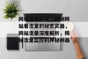 网站流量解析，揭秘网站看流量的秘密武器，网站流量深度解析，揭秘流量监控的神秘利器