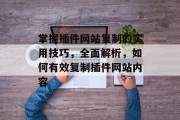 掌握插件网站复制的实用技巧，全面解析，如何有效复制插件网站内容