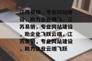 江苏易销，专业网站建设，助力企业腾飞，江苏易销，专业网站建设，助企业飞跃云端，江苏易销，专业网站建设，助力企业云端飞跃