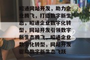 昭通网站开发，助力企业腾飞，打造数字新生态，昭通企业数字化转型，网站开发引领数字新生态腾飞，昭通企业数字化转型，网站开发驱动数字新生态飞跃