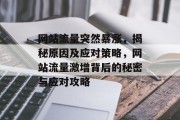 网站流量突然暴涨，揭秘原因及应对策略，网站流量激增背后的秘密与应对攻略