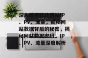 深入解析统计网站IP、PV、流量，揭秘网站数据背后的秘密，揭秘网站数据密码，IP、PV、流量深度解析