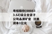 粤桂股份(000833.SZ)设立全资子公司晶源矿业  注册资本1亿元