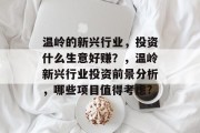 温岭的新兴行业,投资什么生意好赚?,温岭新兴行业投资前景分析,哪些项目值得考虑?