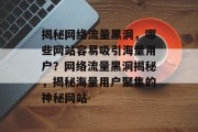揭秘网络流量黑洞，哪些网站容易吸引海量用户？网络流量黑洞揭秘，揭秘海量用户聚集的神秘网站