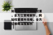 如何有效提升网站权重，全方位策略解析，网站权重提升攻略，全方位策略深度解析