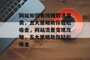 网站如何有效赚取流量费，五大策略助你轻松吸金，网站流量变现攻略，五大策略助你轻松吸金
