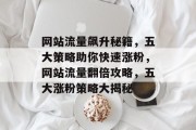 网站流量飙升秘籍，五大策略助你快速涨粉，网站流量翻倍攻略，五大涨粉策略大揭秘