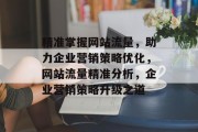 精准掌握网站流量，助力企业营销策略优化，网站流量精准分析，企业营销策略升级之道