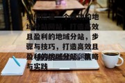 如何搭建一个成功的地域分站网站，打造高效且盈利的地域分站，步骤与技巧，打造高效且盈利的地域分站，策略与实践