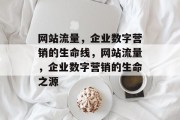 网站流量，企业数字营销的生命线，网站流量，企业数字营销的生命之源