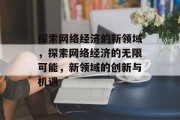 探索网络经济的新领域，探索网络经济的无限可能，新领域的创新与机遇