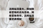 丑网站流量大，揭秘网络营销的逆向思维，网络营销奇效，丑网站流量逆袭揭秘