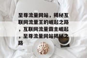 至尊流量网站，揭秘互联网流量王的崛起之路，互联网流量霸主崛起，至尊流量网站揭秘之路