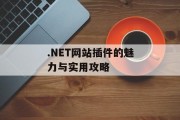 .NET网站插件的魅力与实用攻略