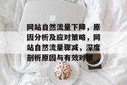 网站自然流量下降，原因分析及应对策略，网站自然流量骤减，深度剖析原因与有效对策