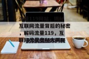 流量119网站，揭秘互联网流量背后的秘密，解码流量119，互联网流量奥秘大揭秘