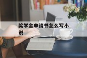 奖学金申请书怎么写小说