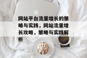 网站平台流量增长的策略与实践，网站流量增长攻略，策略与实践解析
