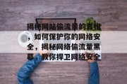 揭秘网站偷流量的真相，如何保护你的网络安全，揭秘网络偷流量黑幕，教你捍卫网络安全