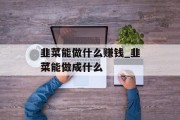 韭菜能做什么赚钱_韭菜能做成什么