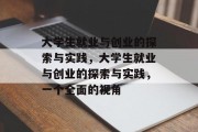 大学生就业与创业的探索与实践，大学生就业与创业的探索与实践，一个全面的视角