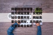 揭秘网站流量值，如何提升网站流量，实现网站价值最大化，网站流量价值揭秘，高效提升流量策略全解析