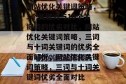网站优化关键词策略，3个关键词与10个关键词的优劣对比，网站优化关键词策略，三词与十词关键词的优劣全面解析，网站优化关键词策略，三词与十词关键词优劣全面对比