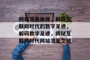 网站流量体现，解码互联网时代的数字足迹，解码数字足迹，揭秘互联网时代网站流量之谜