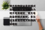 地方购物网站盈利模式探析，多元化发展助力地方电商崛起，地方电商盈利模式解析，多元化发展推动地方购物网站崛起