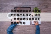 揭秘本地刷网站流量背后的秘密与技巧，揭秘，本地网站流量刷单的内幕与策略