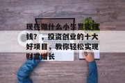 现在做什么小生意能赚钱?,投资创业的十大好项目,教你轻松实现财富增长