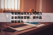 专业网站优化公司助力企业网络营销，提升品牌影响力