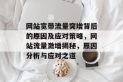 网站宽带流量突增背后的原因及应对策略，网站流量激增揭秘，原因分析与应对之道
