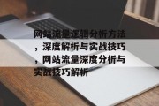 网站流量逻辑分析方法，深度解析与实战技巧，网站流量深度分析与实战技巧解析