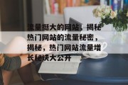 流量挺大的网站，揭秘热门网站的流量秘密，揭秘，热门网站流量增长秘诀大公开