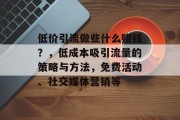 低价引流做些什么赚钱?,低成本吸引流量的策略与方法,免费活动、社交媒体营销等