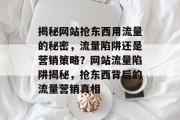 揭秘网站抢东西用流量的秘密，流量陷阱还是营销策略？网站流量陷阱揭秘，抢东西背后的流量营销真相