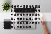 提升用户满意度和品牌影响力的关键，提升用户满意度与增强品牌形象，策略与实践，提升用户体验与强化品牌形象，策略与实践
