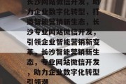 长沙网站微信开发，助力企业数字化转型，打造智能营销新生态，长沙专业网站微信开发，引领企业智能营销新变革，长沙智能营销新生态，专业网站微信开发，助力企业数字化转型引领潮