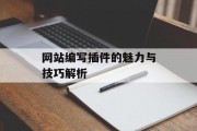 网站编写插件的魅力与技巧解析