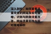 深入剖析，如何查看流量攻击的网站及应对策略，识别与防御流量攻击，网站流量监控与应对策略解析