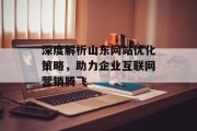 深度解析山东网站优化策略，助力企业互联网营销腾飞