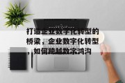 打造企业数字化转型的桥梁，企业数字化转型，如何跨越数字鸿沟