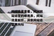 网站流量查看，揭秘网站运营的晴雨表，网站流量解析，洞察网站运营风向标