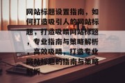网站标题设置指南，如何打造吸引人的网站标题，打造吸睛网站标题，专业指南与策略解析，高效吸睛，打造专业网站标题的指南与策略解析