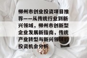 柳州市创业投资项目推荐——从传统行业到新兴领域,柳州市创新型企业发展新指南,传统产业转型与新兴领域的投资机会分析