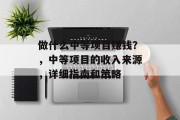 做什么中等项目赚钱？，中等项目的收入来源，详细指南和策略