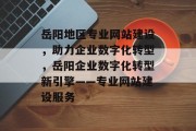 岳阳地区专业网站建设，助力企业数字化转型，岳阳企业数字化转型新引擎——专业网站建设服务